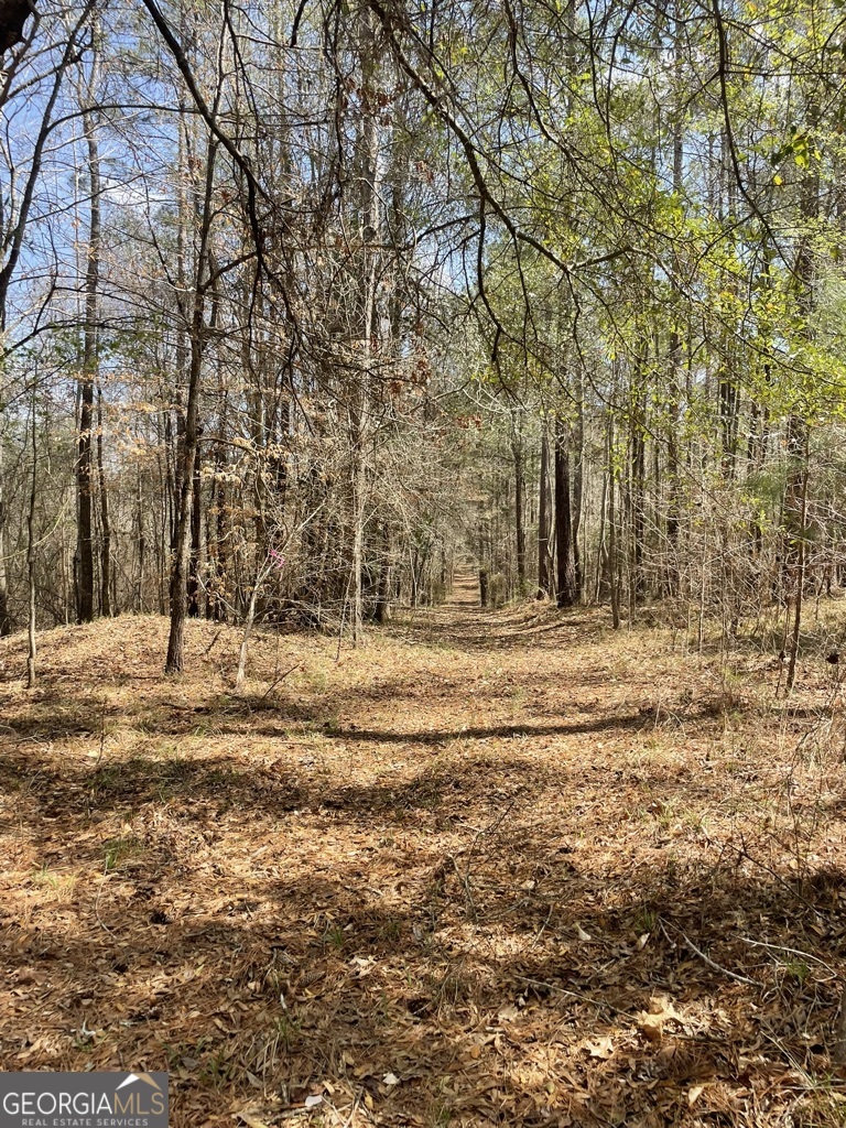 0 Minor Property Photo 8