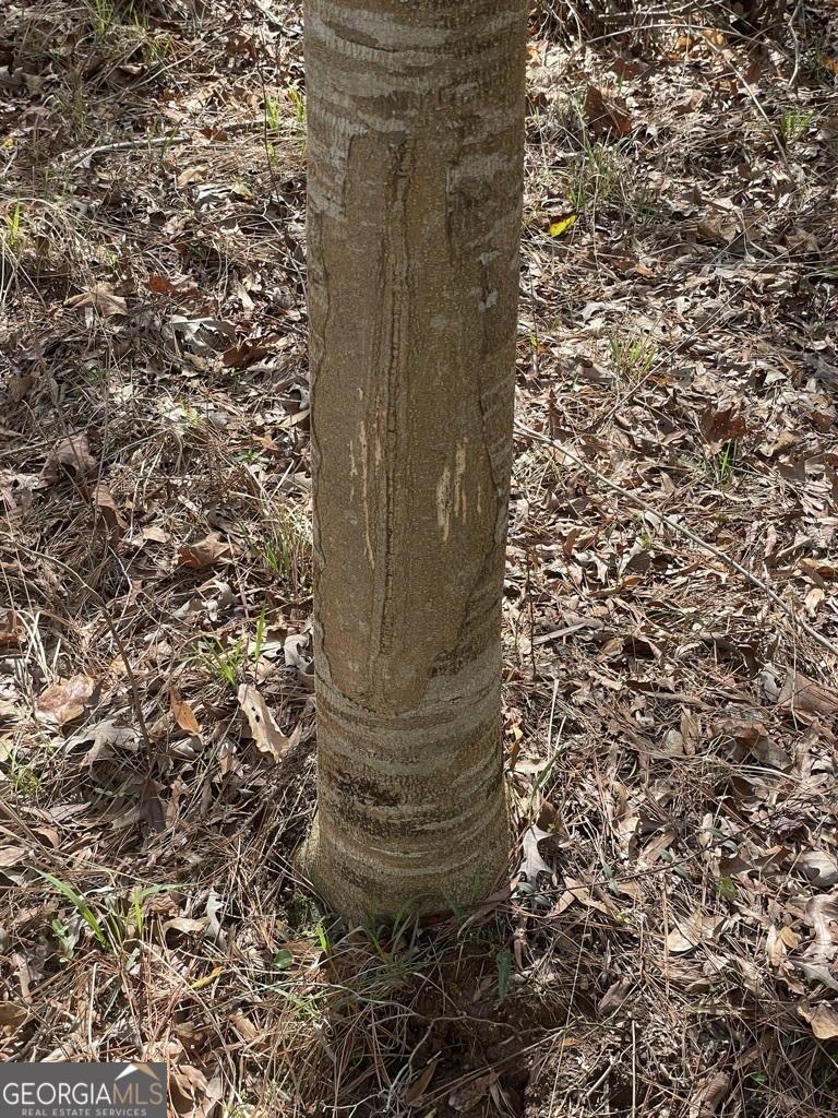 0 Minor Property Photo 9