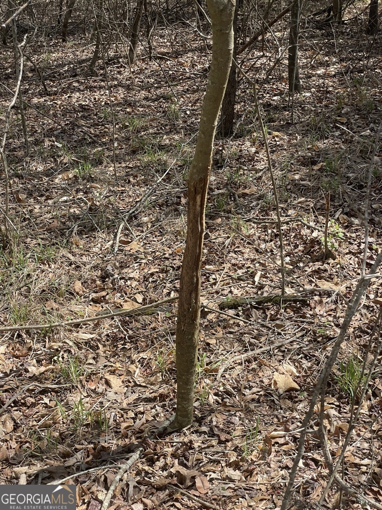0 Minor Property Photo 10