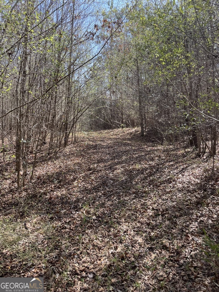 0 Minor Property Photo 14