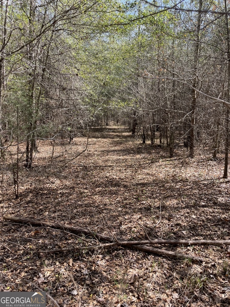 0 Minor Property Photo 15