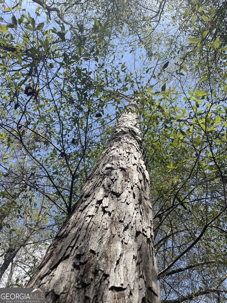 0 Minor Property Photo 16