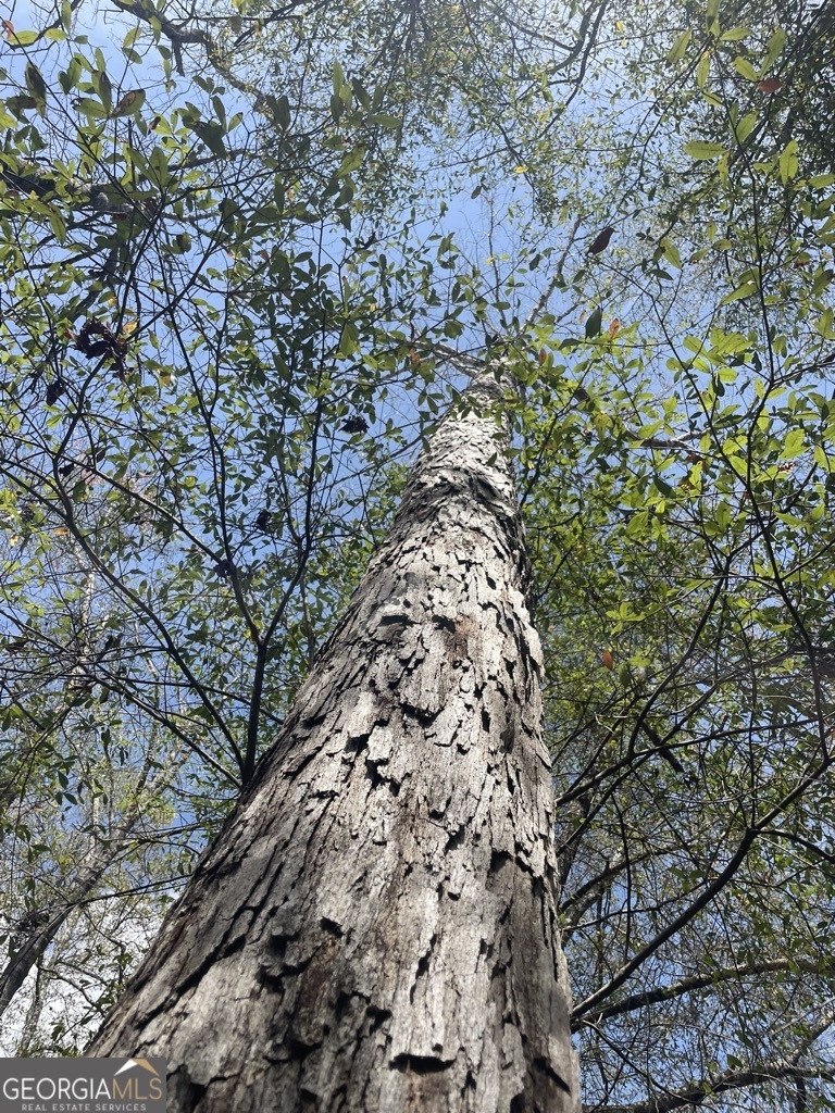 0 Minor Property Photo 17