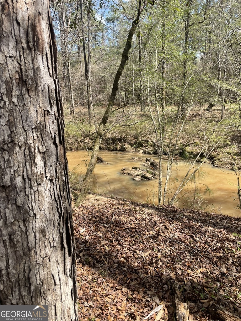 0 Minor Property Photo 18