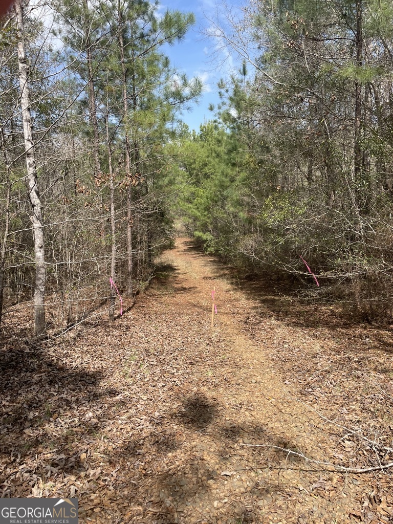 0 Minor Property Photo 19