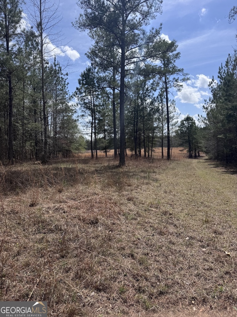 0 Minor Property Photo 21