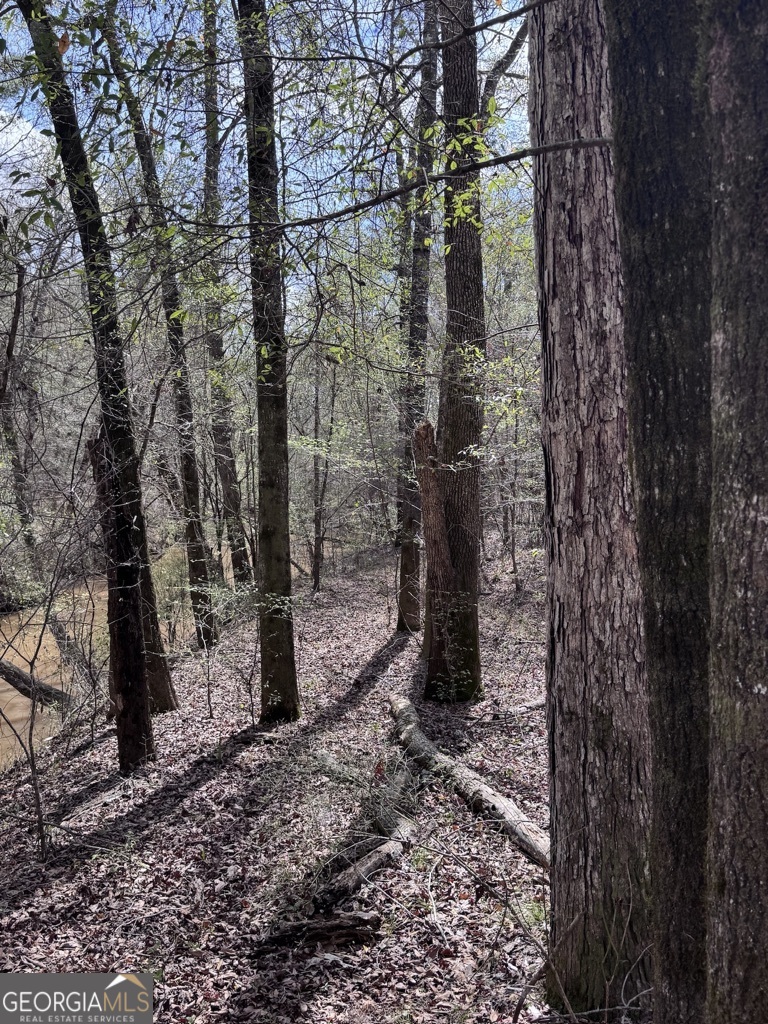 0 Minor Property Photo 22