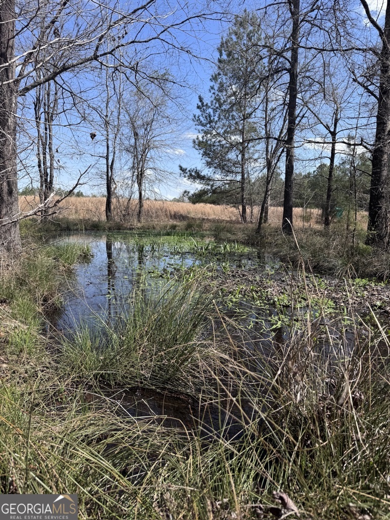 0 Minor Property Photo 23