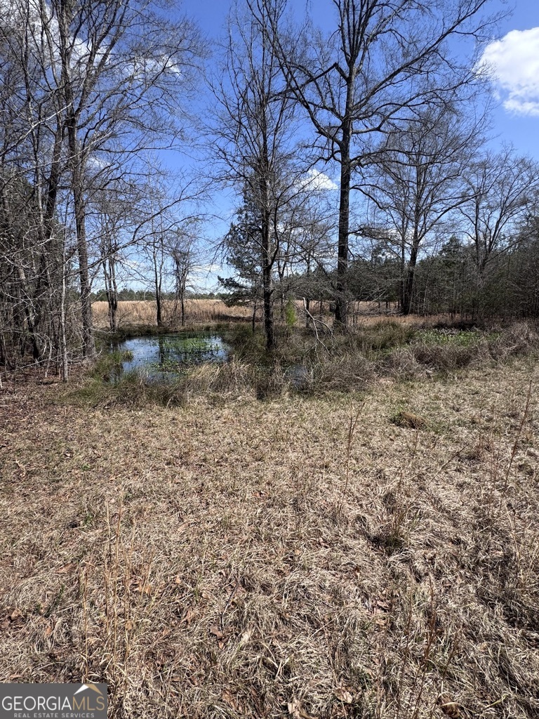 0 Minor Property Photo 24