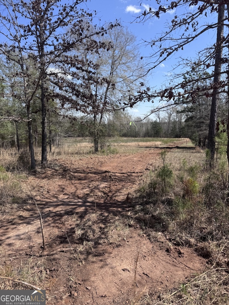 0 Minor Property Photo 29