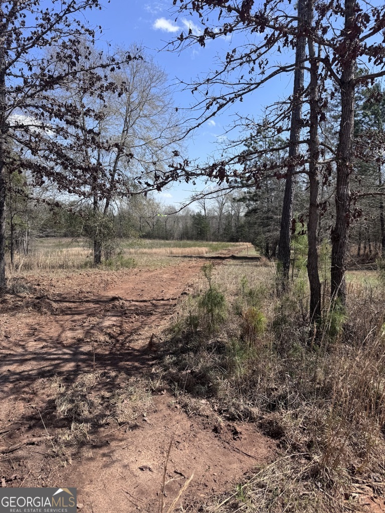 0 Minor Property Photo 31