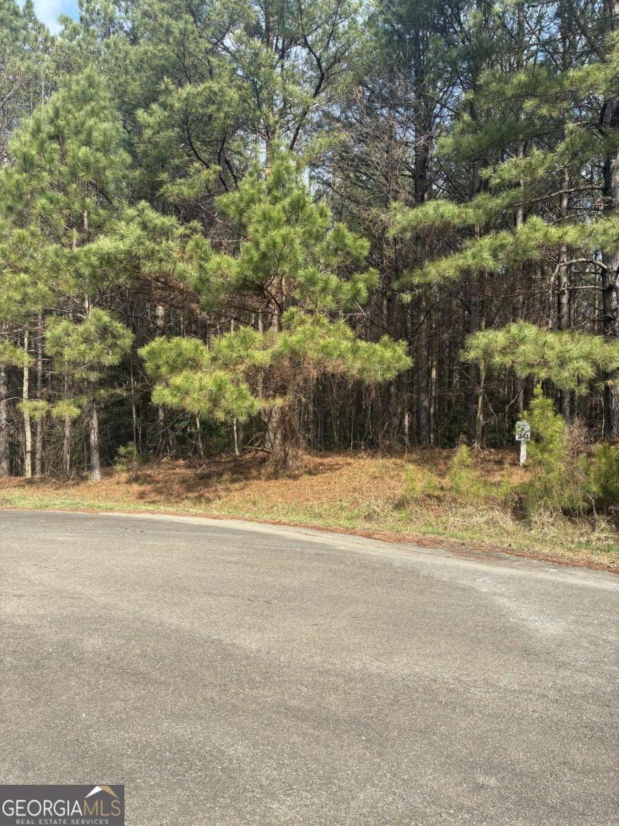26 Foxpaw Leaf Lane Property Photo 1