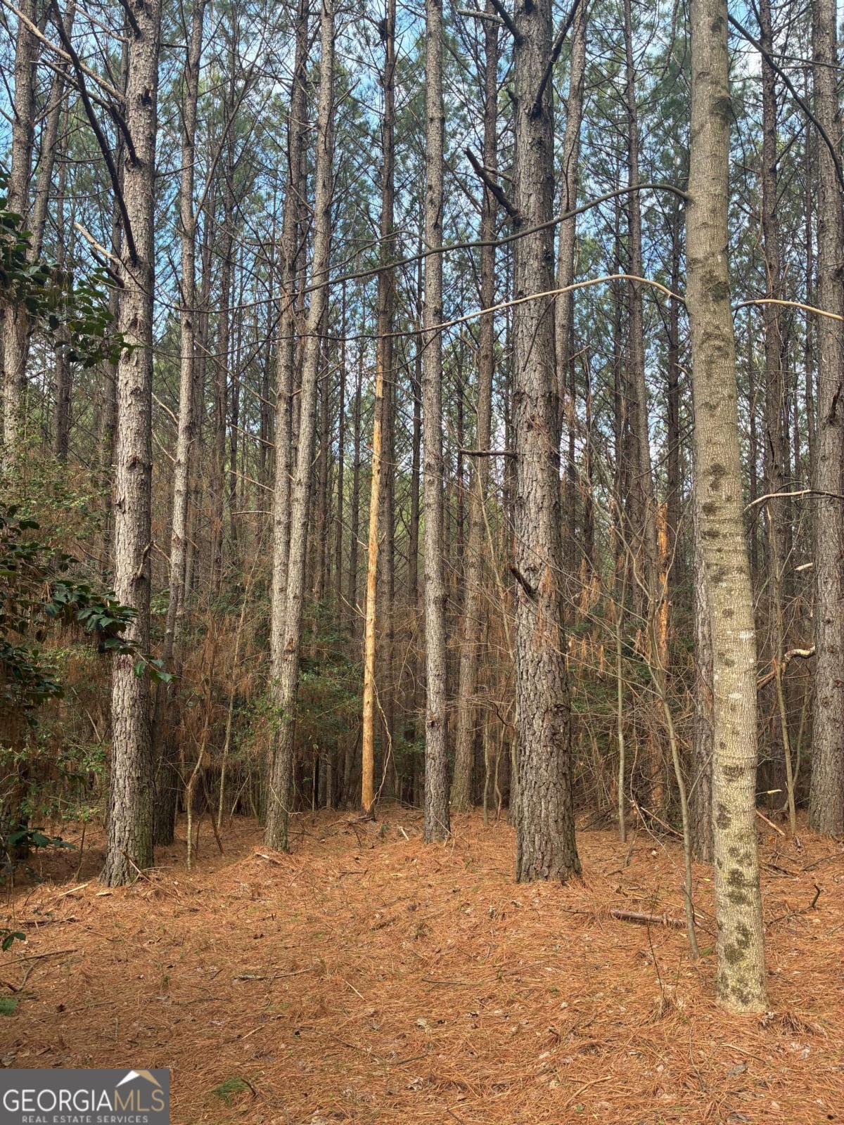 26 Foxpaw Leaf Lane Property Photo 2