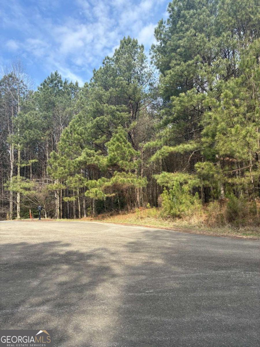 26 Foxpaw Leaf Lane Property Photo 3