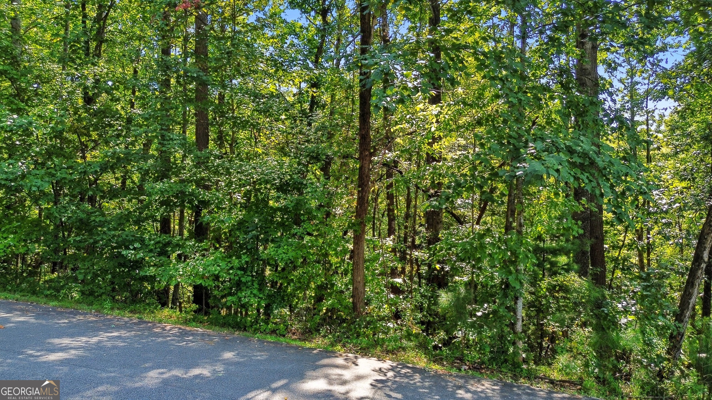 0 Rome Beauty Lane Lot 1109 Property Photo 11