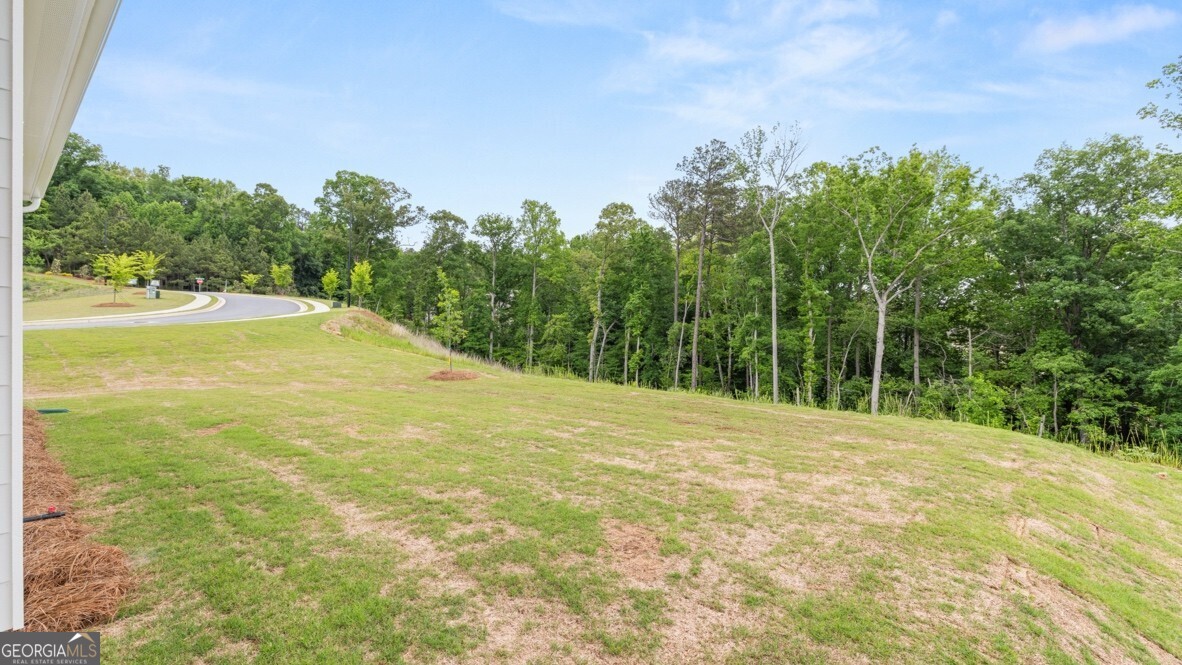 11 Majestic Oak Circle Property Photo 14