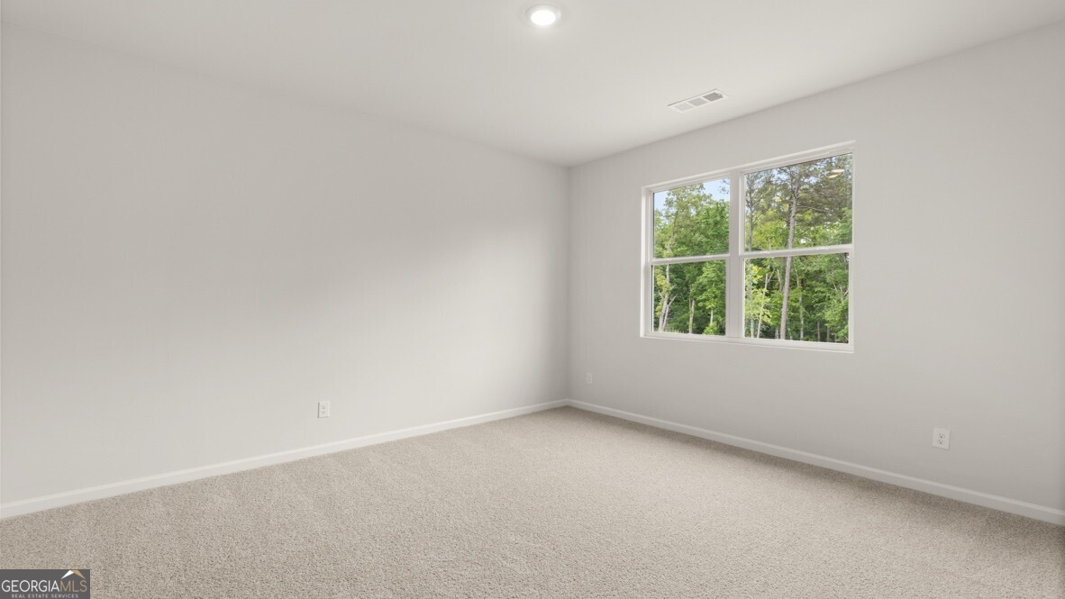 11 Majestic Oak Circle Property Photo 18