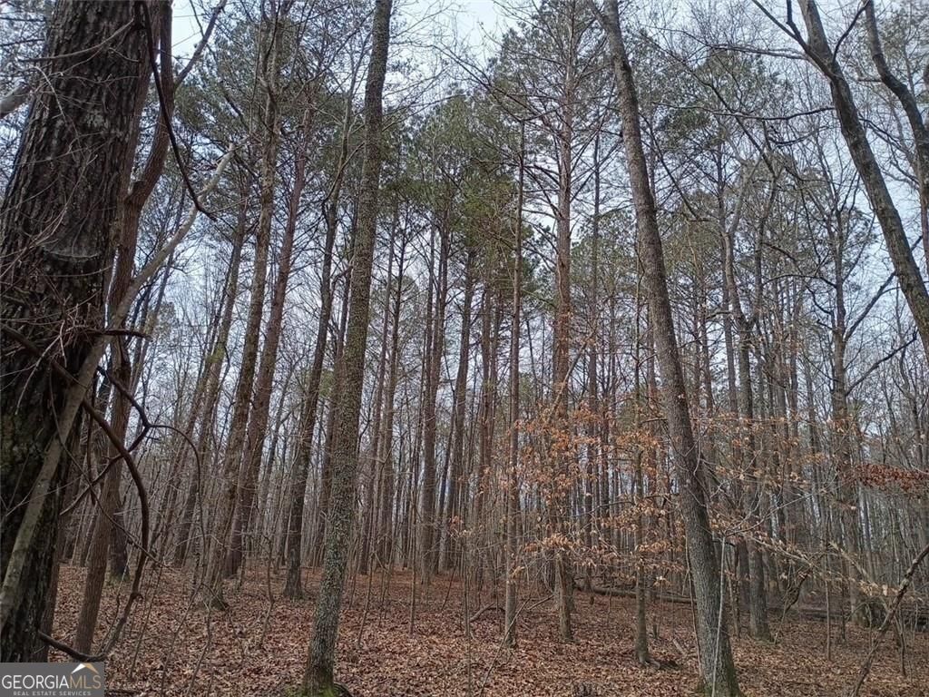 0-a Cleveland Highway Property Photo 4