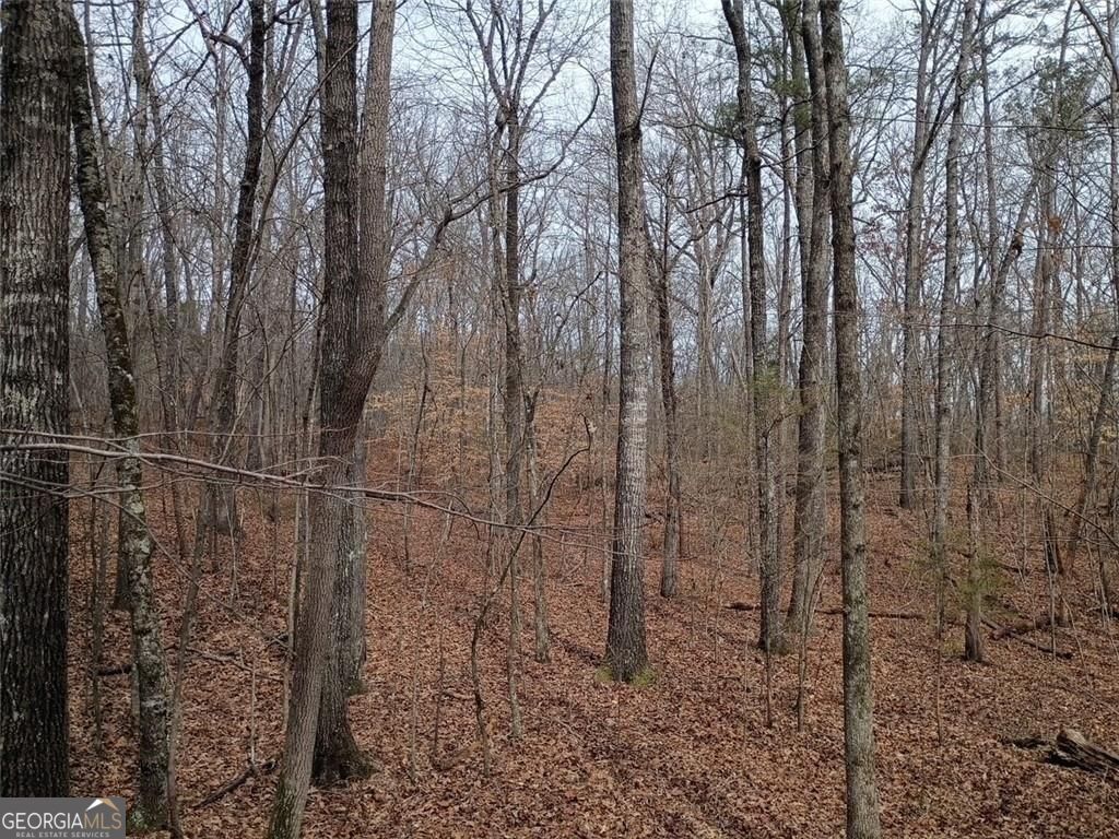 0-a Cleveland Highway Property Photo 5