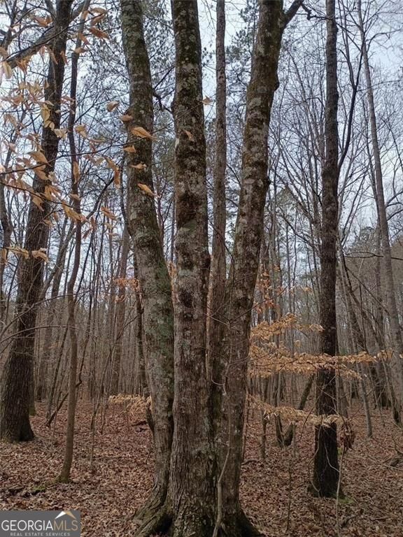 0-a Cleveland Highway Property Photo 6