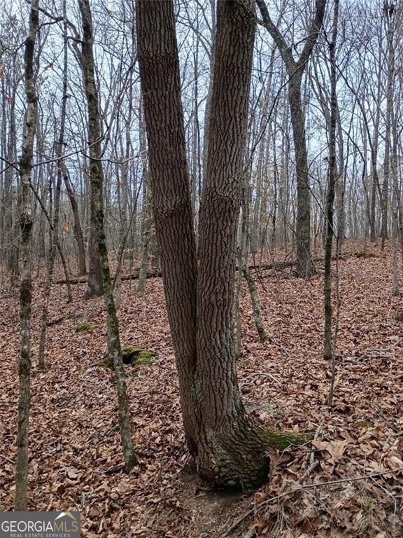 0-a Cleveland Highway Property Photo 7