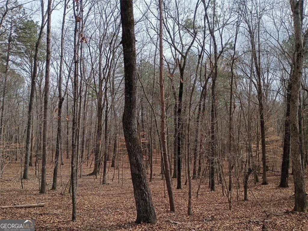 0-a Cleveland Highway Property Photo 8