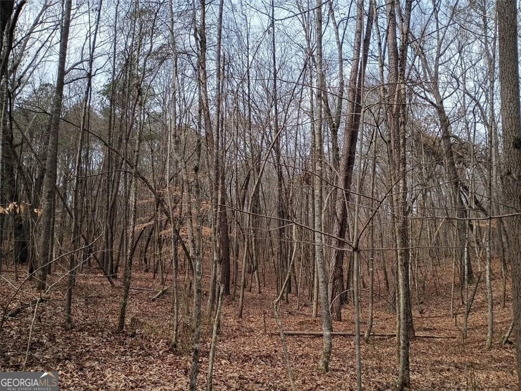 0-a Cleveland Highway Property Photo 9