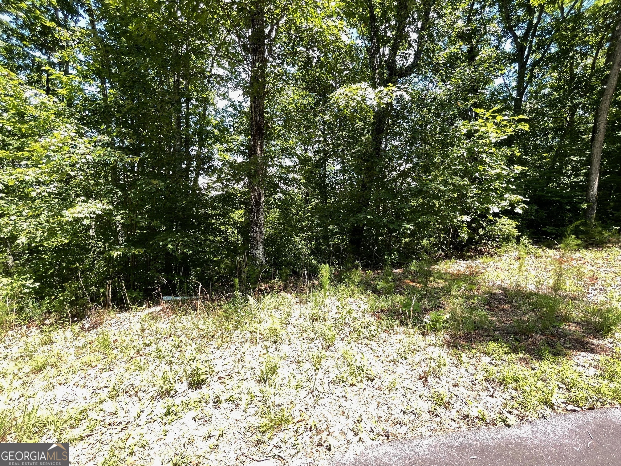 Lot 20 Fodder Creek Mill Drive Property Photo 1