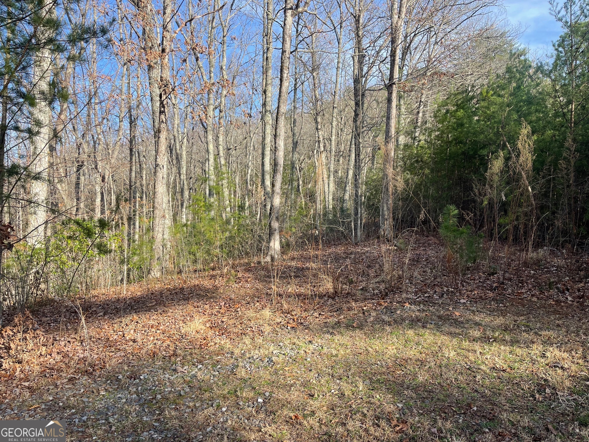 Lot 14 Big Cove Drive Property Photo 1