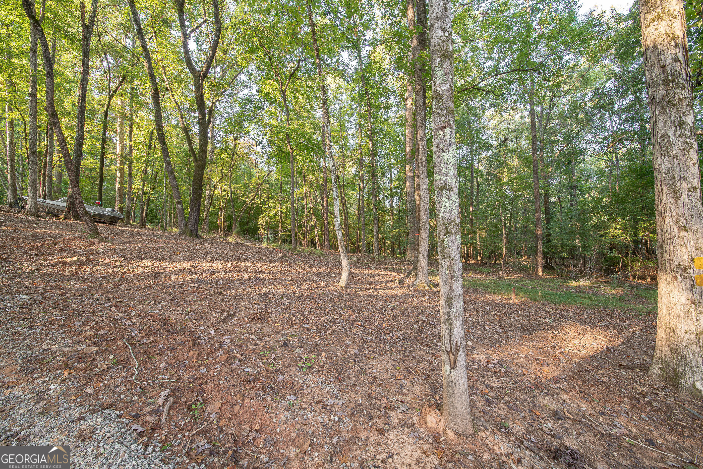 265 Dollar Road Property Photo 3