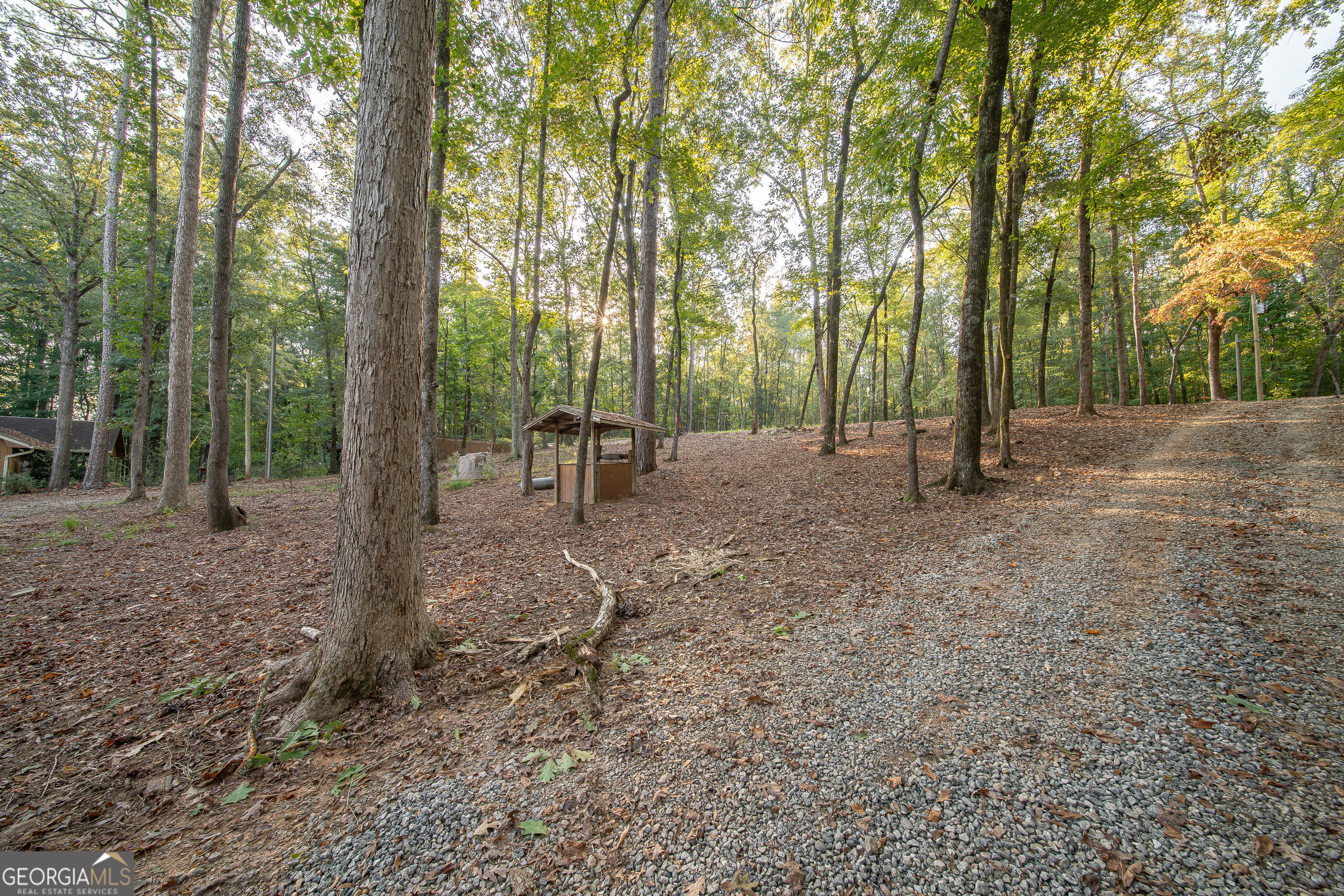 265 Dollar Road Property Photo 4