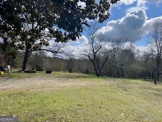 3000 Highway 78 Property Photo 4