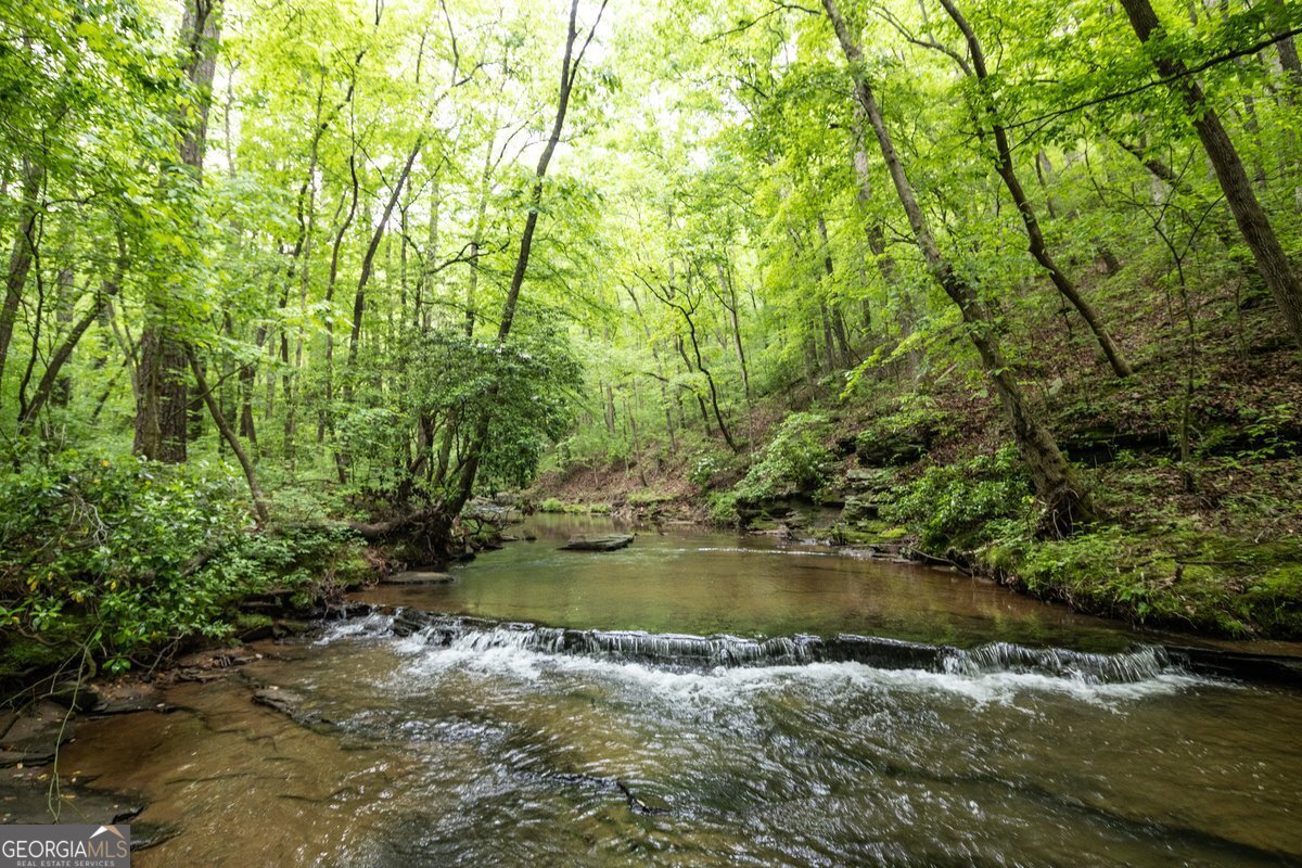 0 Hidden Creek Road Property Photo 1