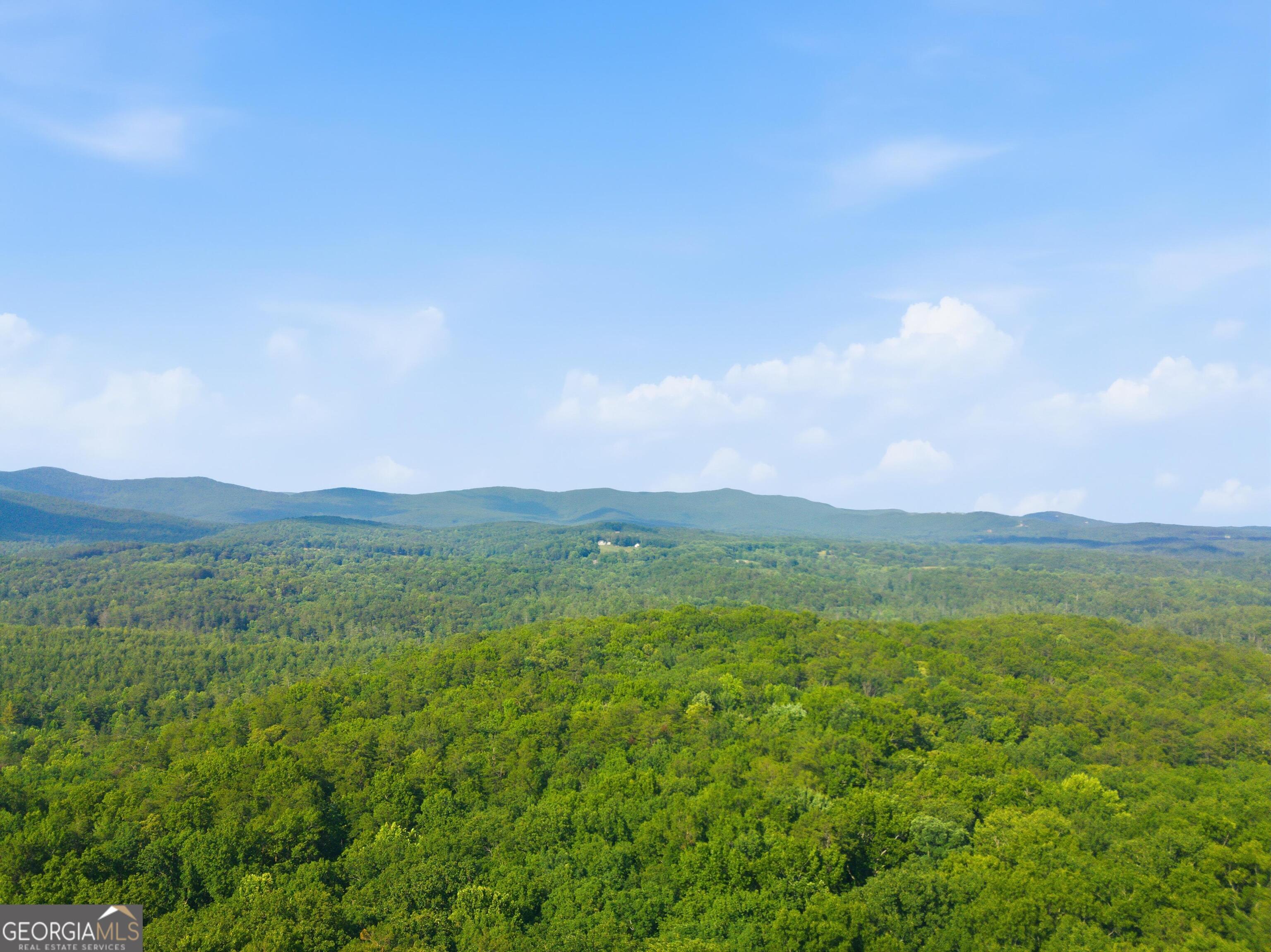 225 Overlook Circle Property Photo 40
