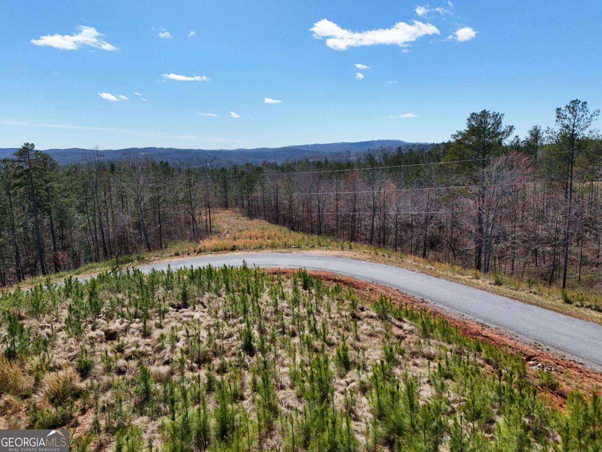 155 Shallow Water Trail Property Photo 1