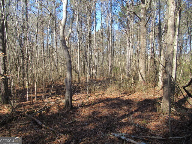 5050 Stateline Road Property Photo 5