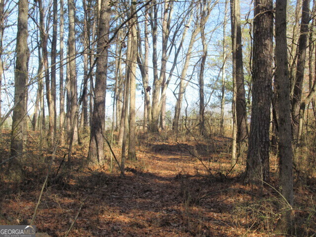 5050 Stateline Road Property Photo 6
