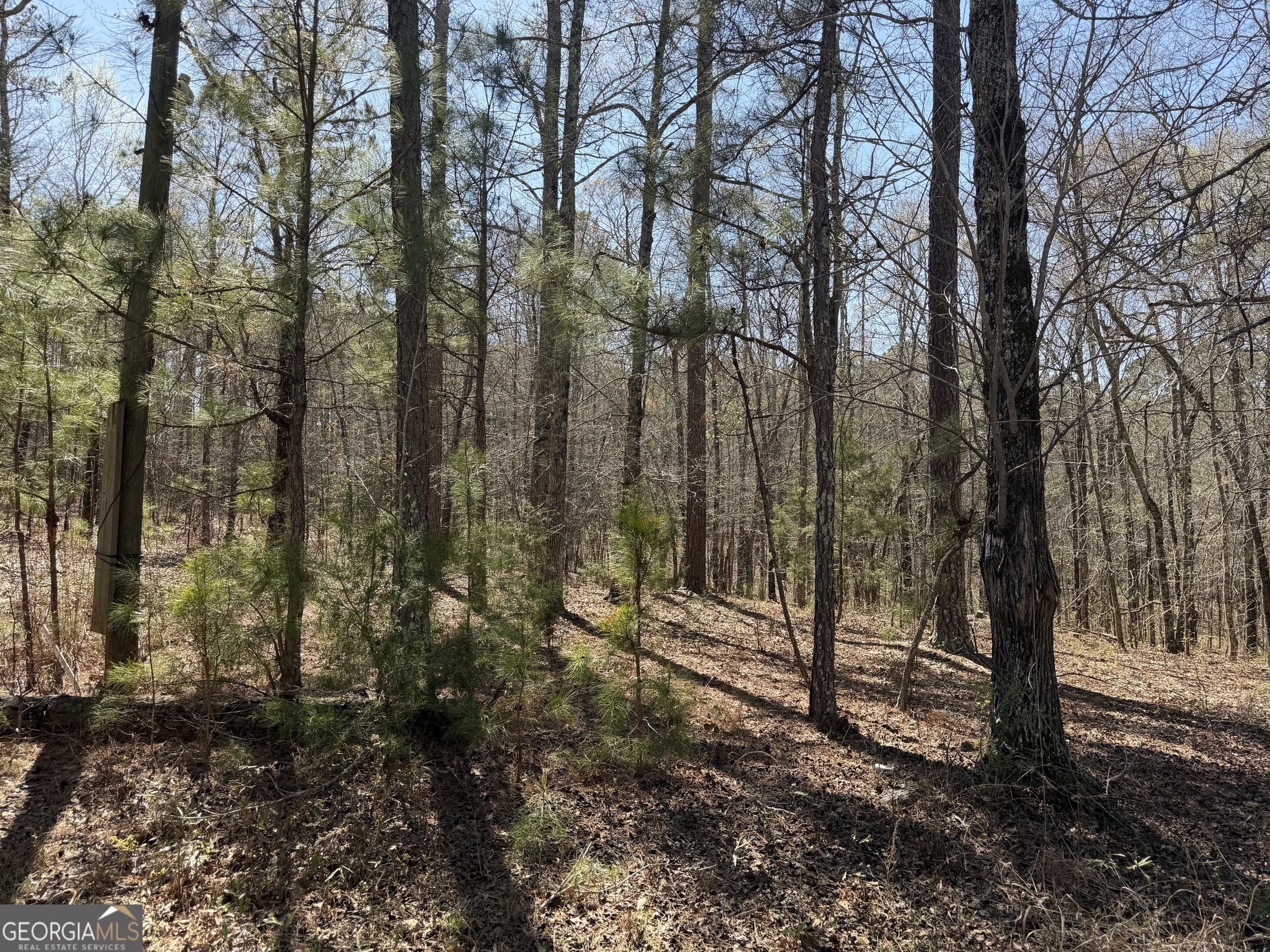 1430 Cleveland Farm Road