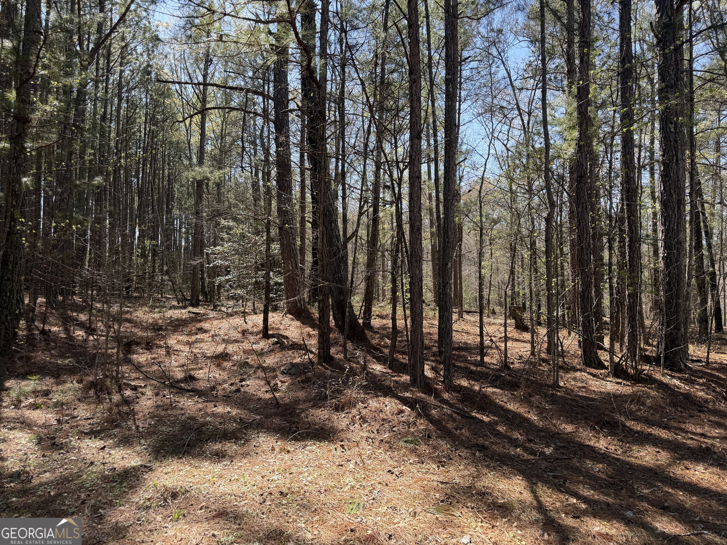 1430 Cleveland Farm Road Property Photo 2