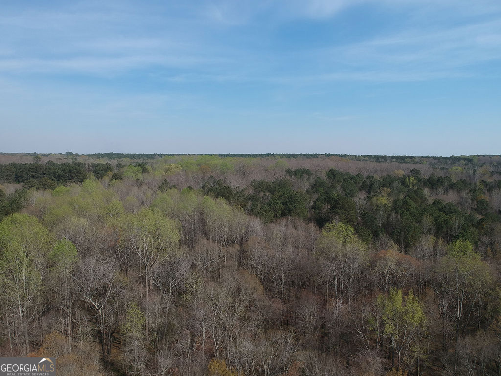 0 Cobb Road Property Photo 19