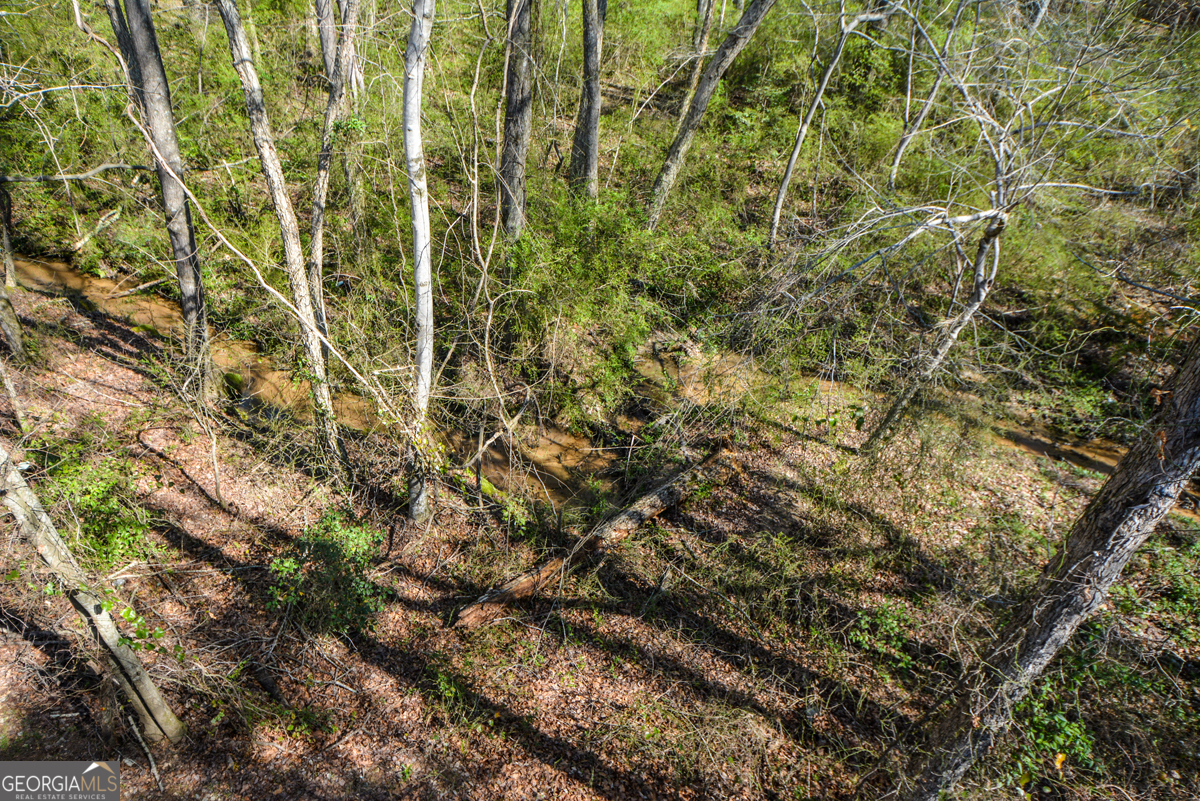 1816 Jessica Way Property Photo 19