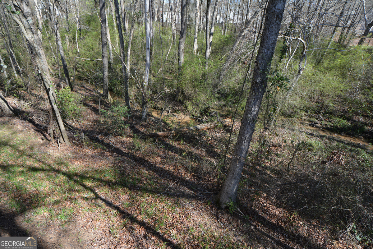 1816 Jessica Way Property Photo 71