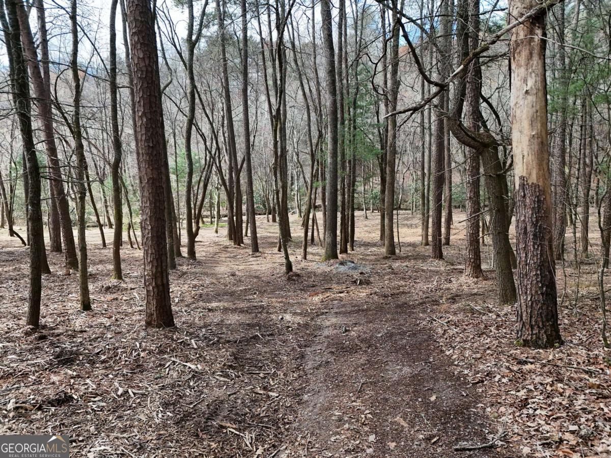 Lot 45b Synacia Drive Property Photo 4