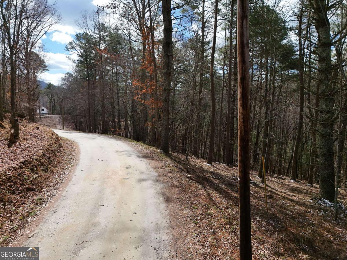 Lot 45b Synacia Drive Property Photo 8