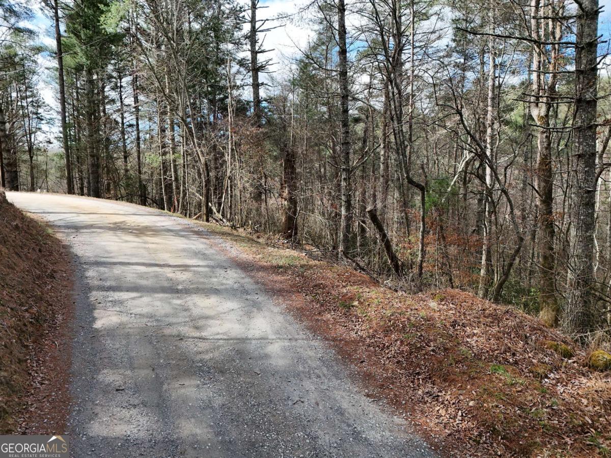 Lot 45b Synacia Drive Property Photo 15