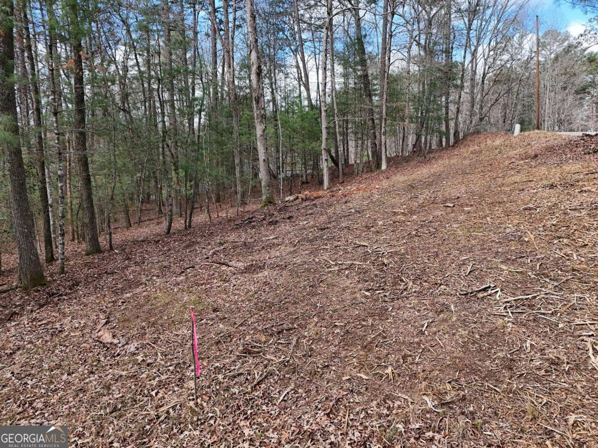 Lot 45b Synacia Drive Property Photo 16