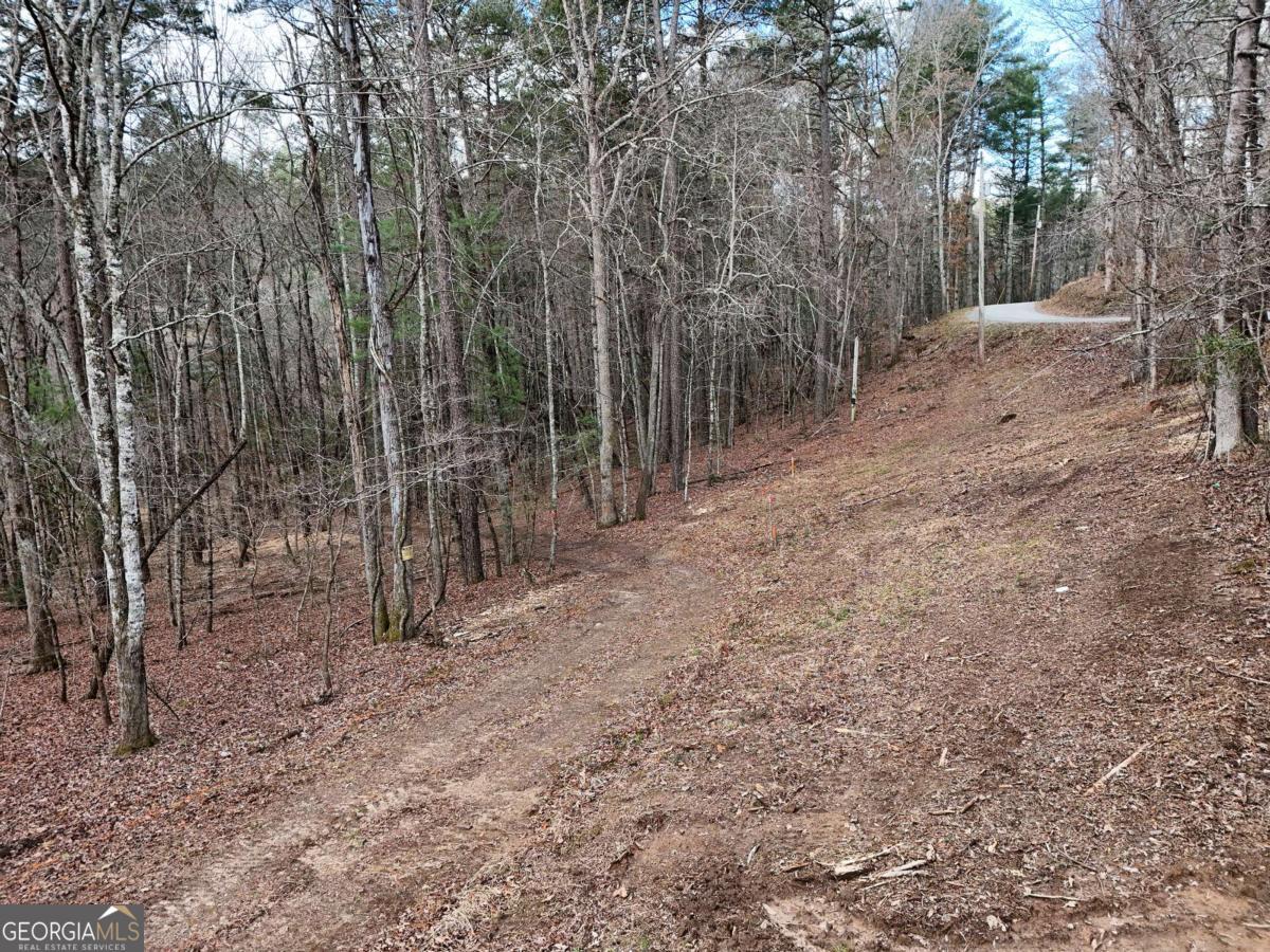 Lot 45b Synacia Drive Property Photo 18