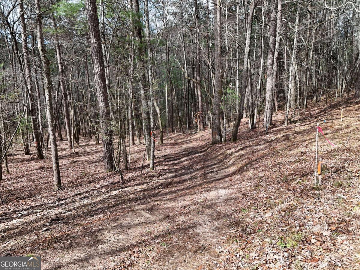 Lot 45b Synacia Drive Property Photo 20