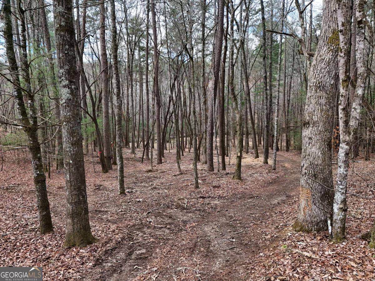 Lot 45b Synacia Drive Property Photo 21