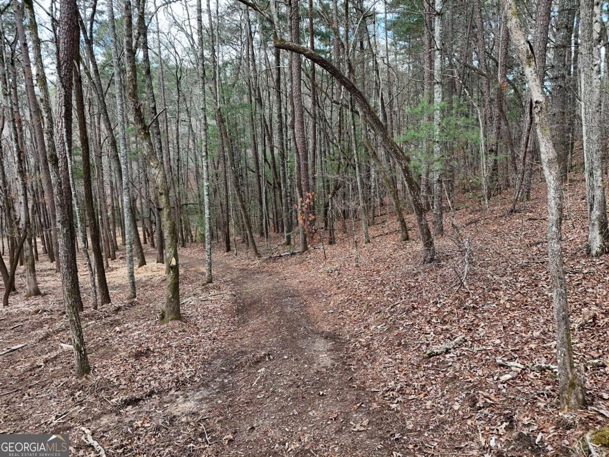 Lot 45b Synacia Drive Property Photo 22